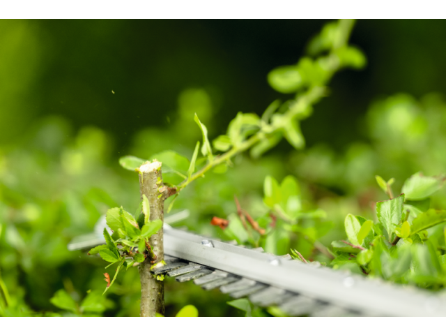 Akumulatorske škarje za živo mejo Bosch PRO GHE18V-50FP, 06008D5100